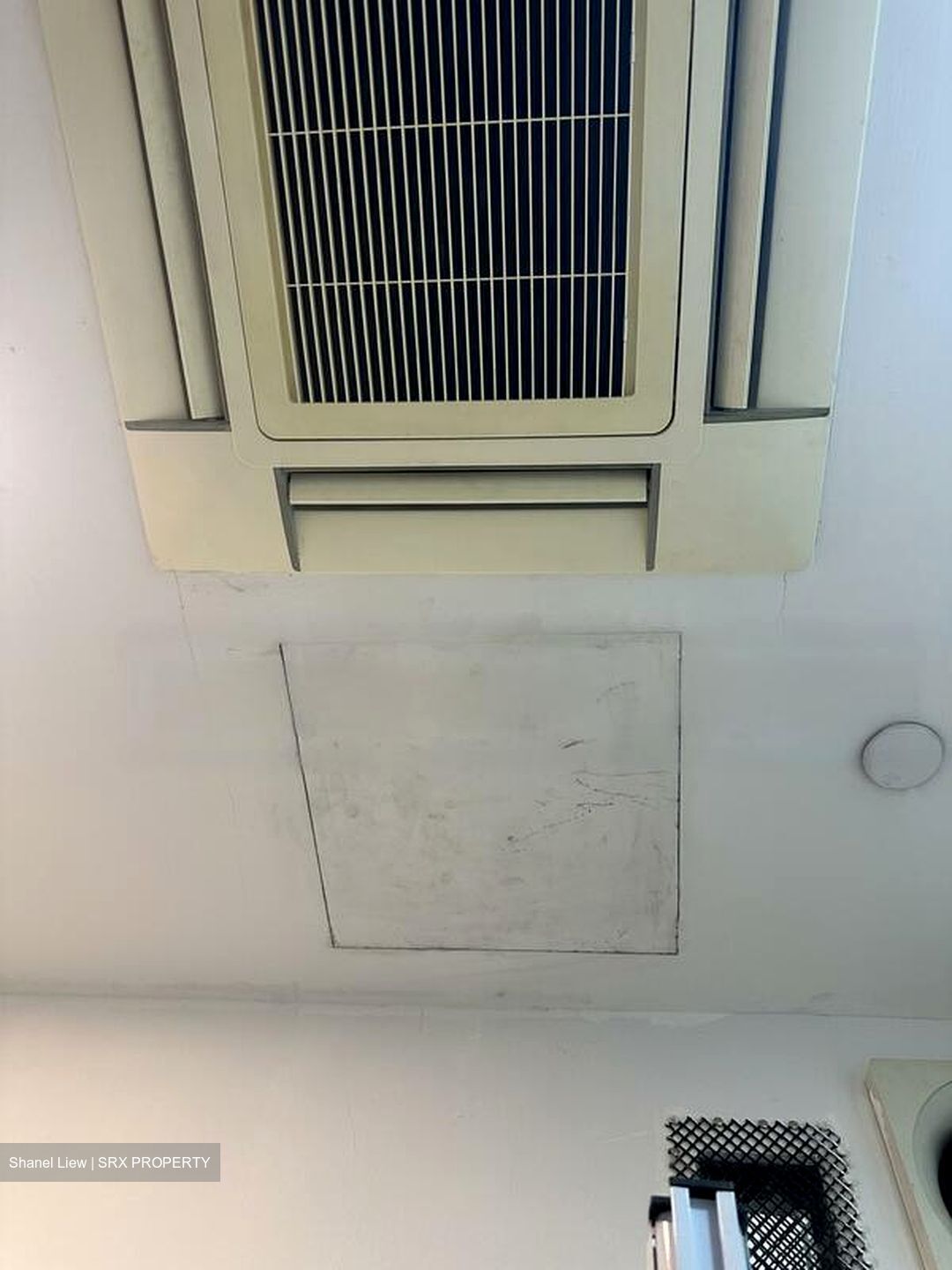 Suites @ Bukit Timah (D21), Shop House #479289331